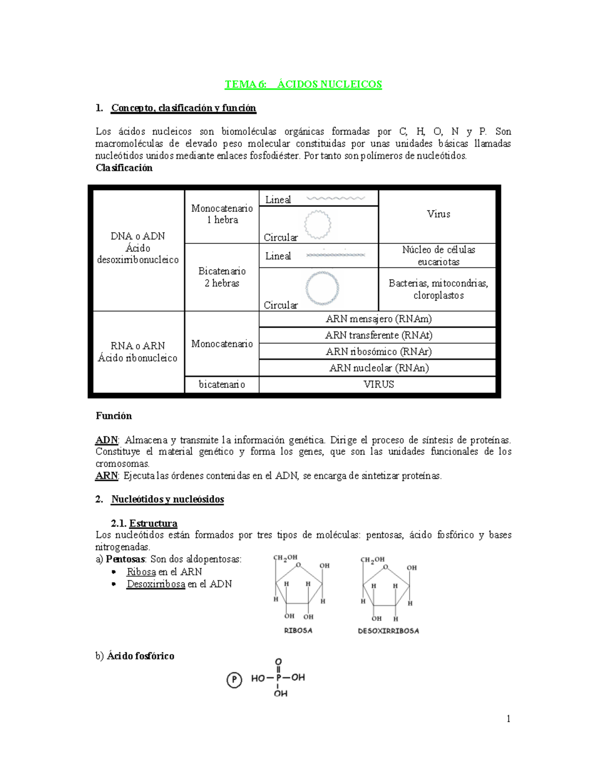 64736 L3-Acidos Nucleicos - TEMA 6: ÁCIDOS NUCLEICOS 1. Concepto ...