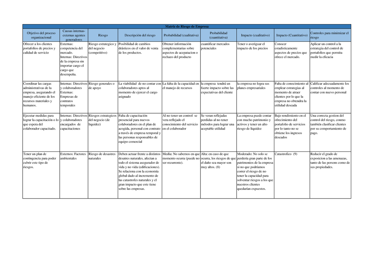Auditoria financiera matriz de riesgo - Objetivo del proceso