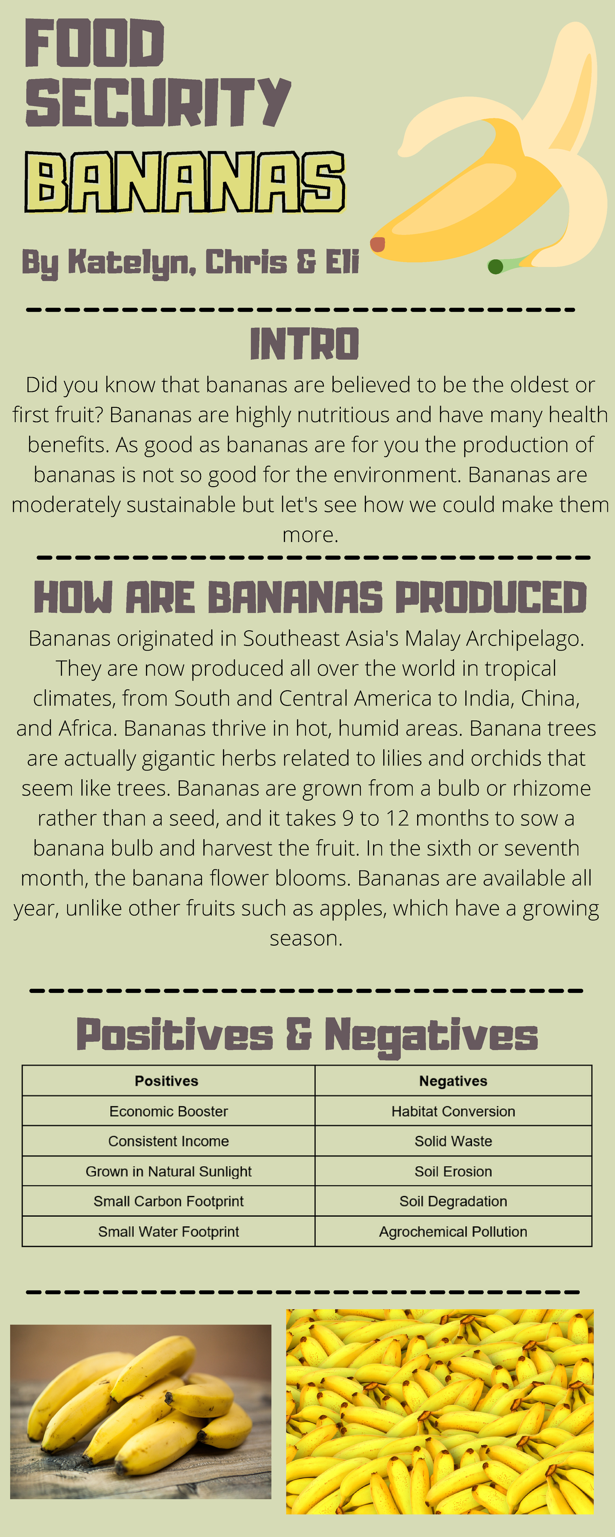 Geography Assignment eszxrdtfcygvbuhn Bananas originated in