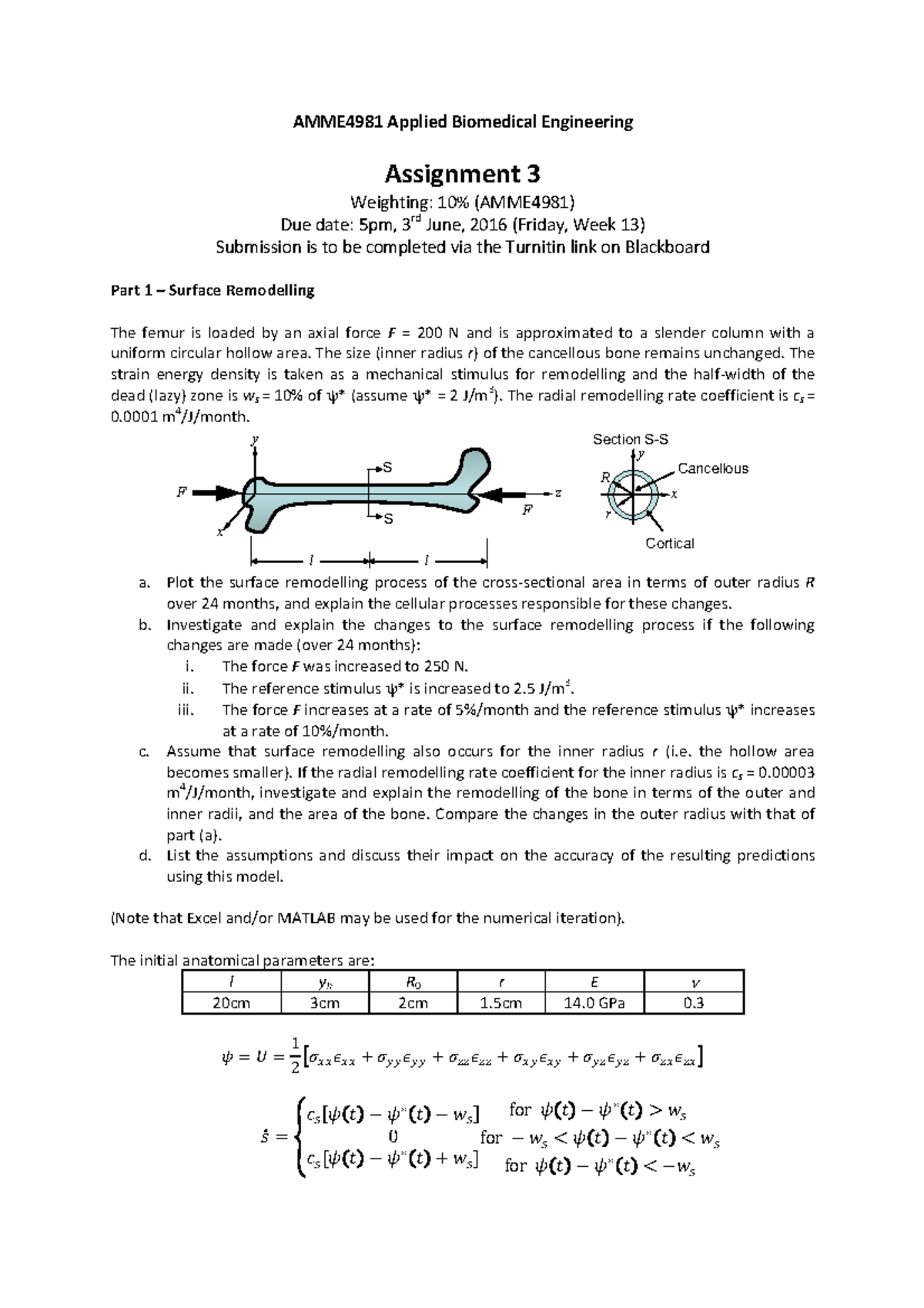 biomedical engineering assignment