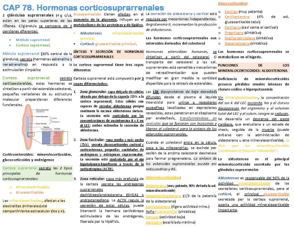 CAP 78. Hormonas Corticosuprarrenales - CAP 78. Hormonas ...