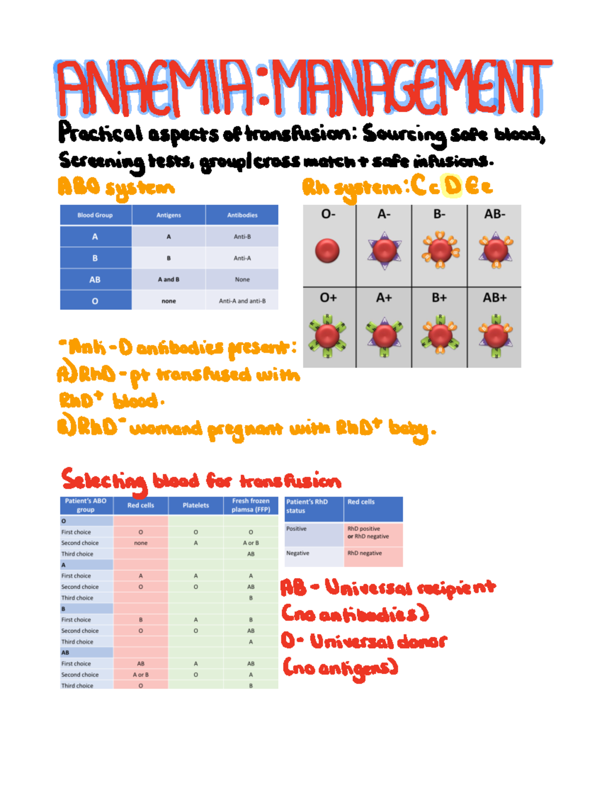 Management Of Anaemia - Pathology - ANAEMIA MANAGEMENT Practical ...