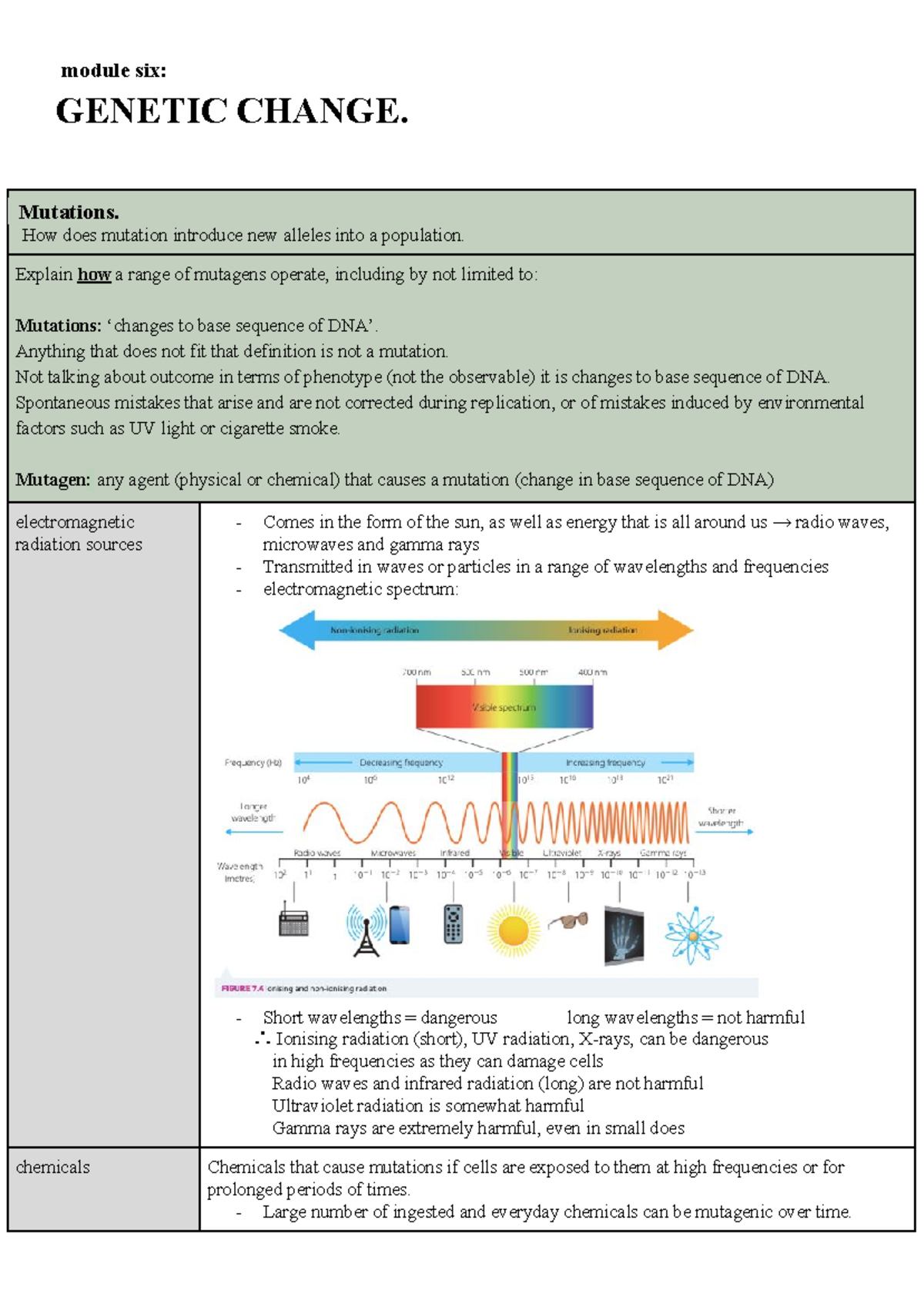 2020 BIO Module 6 Genetic Change Summary - module six: GENETIC CHANGE ...