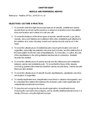 Anat2008 complete practical notes - Topic 1: Name: Electron Microscope ...