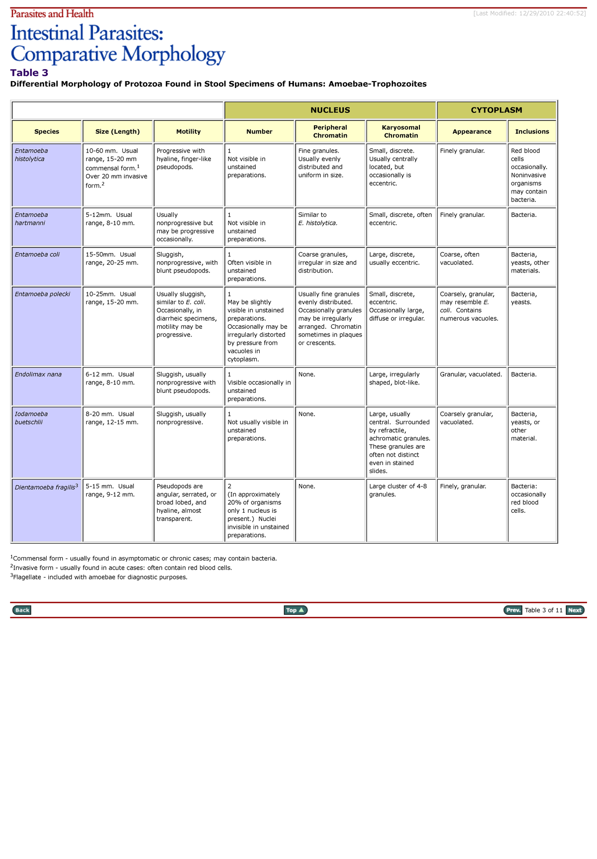 Morphology notes table Table 3 Differential Morphology of Protozoa