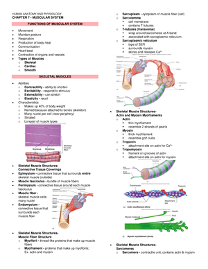 M2 General Anatomy-Lecture - GENERAL ANATOMY-LECTURE PROF: Lorena ...