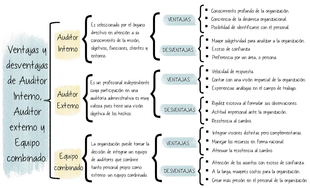 Cuadro Sinoptico Auditor Interno Equipo Combinado Auditor Externo Es