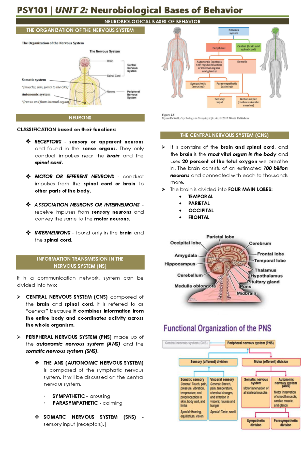 Intro to psych unit 2 reviewer - PSY101 | UNIT 2: Neurobiological Bases ...