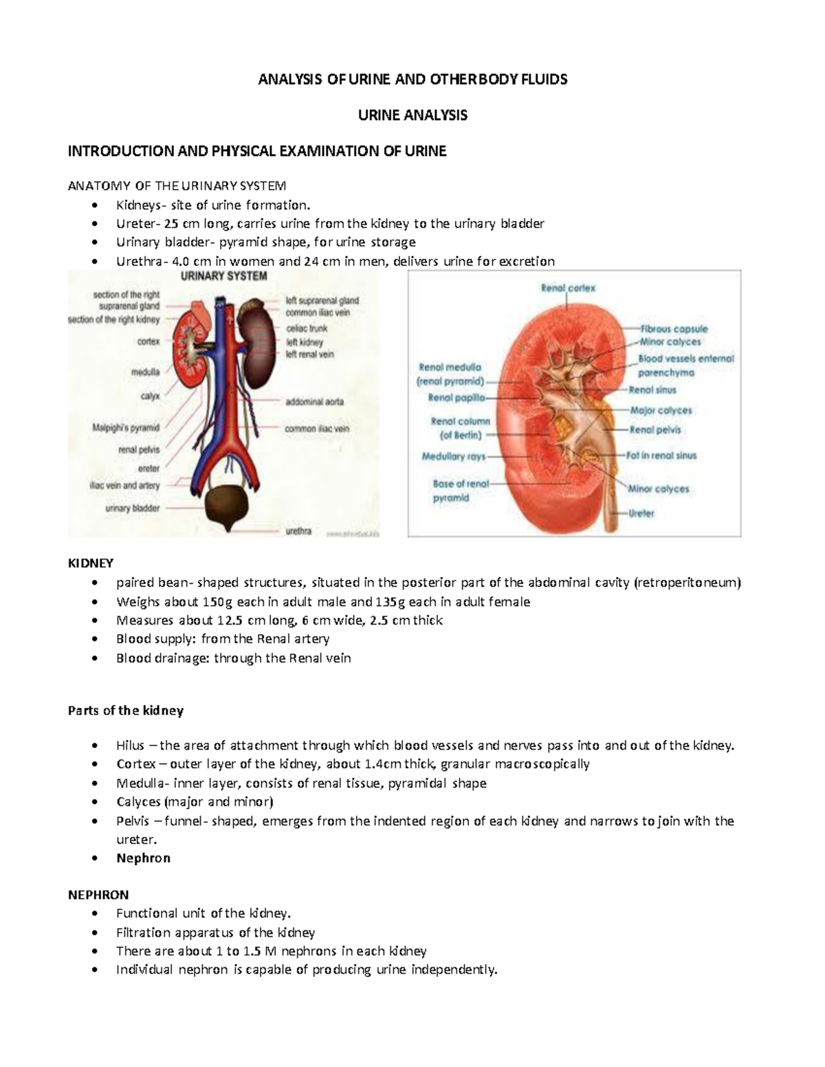 Physical examination of urine - ANALYSIS OF URINE AND OTHER BODY FLUIDS ...