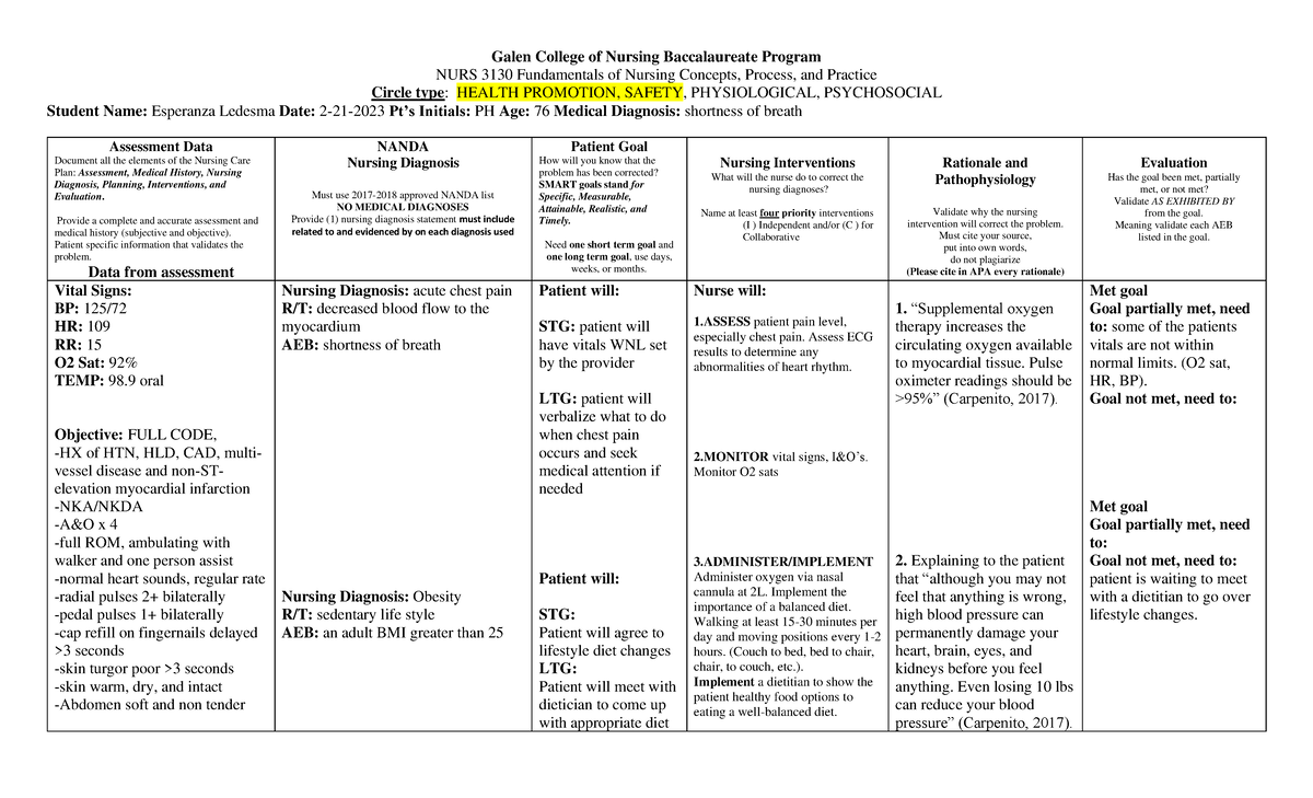 Care Plan 3 Care Plan Example NURS 3130 Fundamentals Of Nursing 