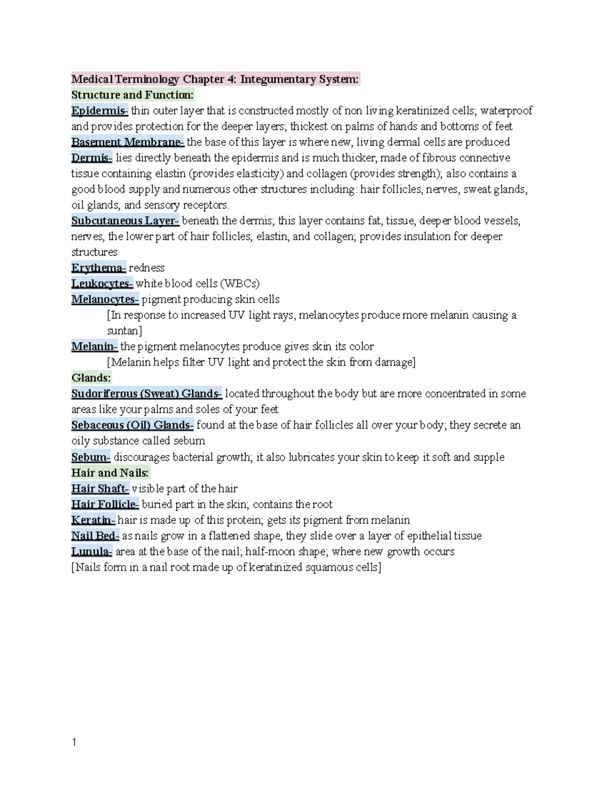 Integumentary System Key Words