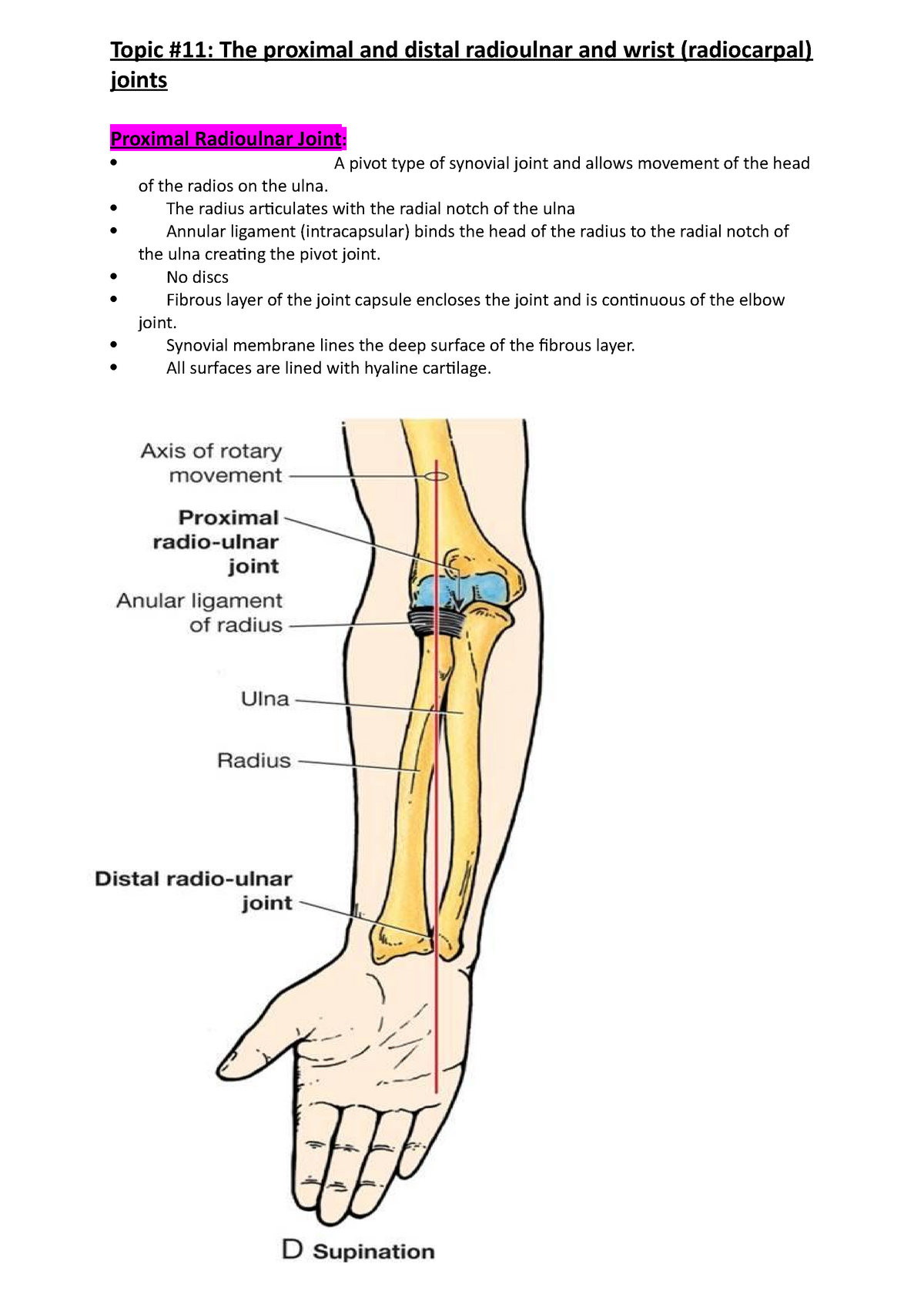 proximal radioulnar joint ligaments