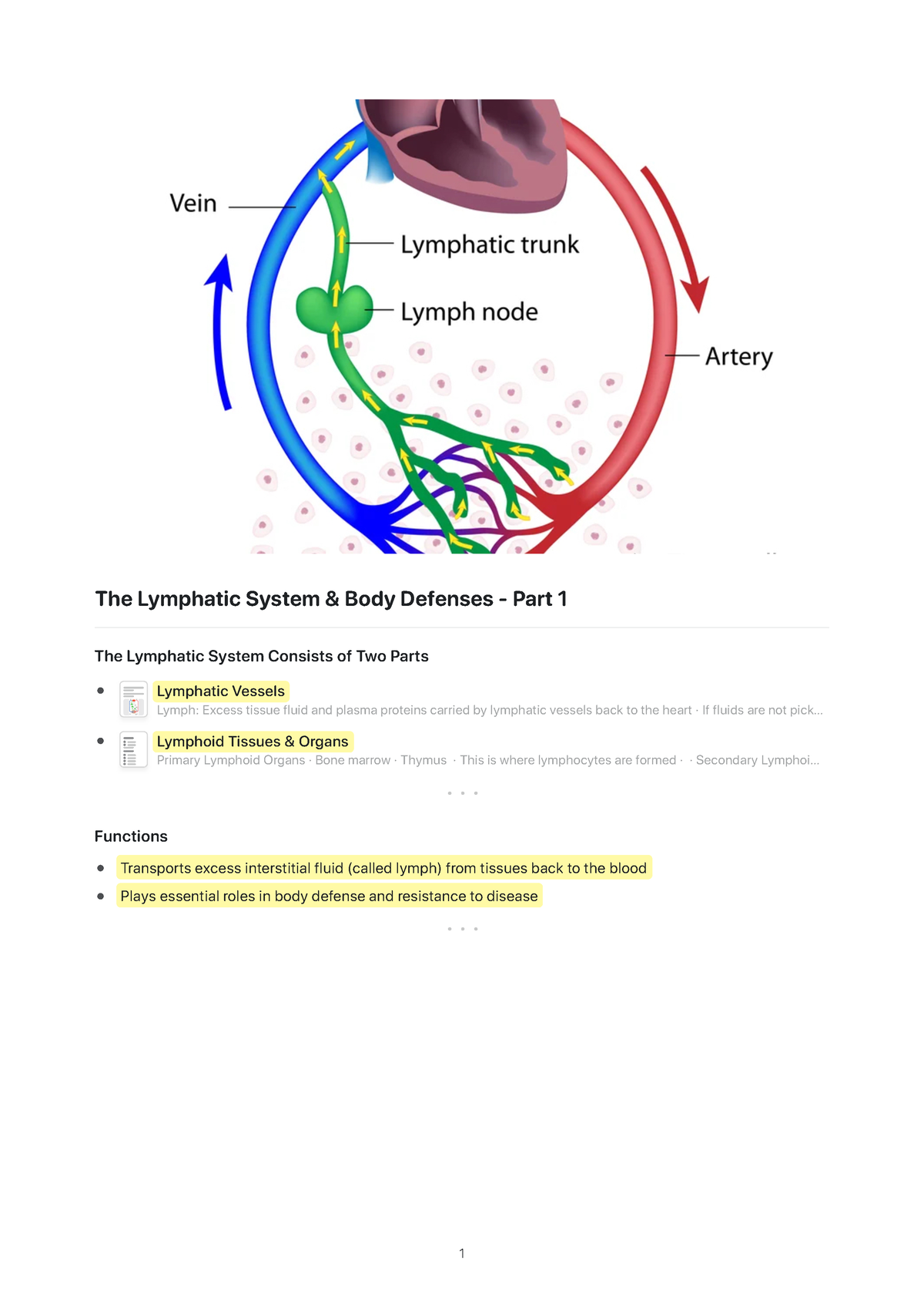 the-lymphatic-system-and-body-defenses-part-1-lymphoid-tissues