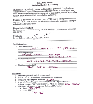 Lab Ex 11 Microscopic Anatomy And Organization Of Skeletal Muscle Dr