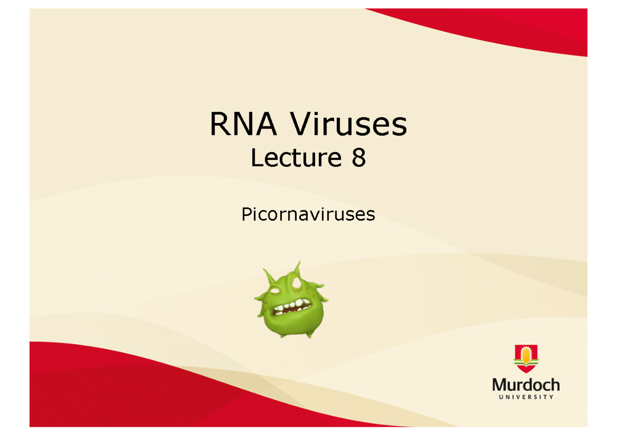 8 Picornaviruses 2024 - lecture - RNA Viruses Lecture 8 Picornaviruses ...