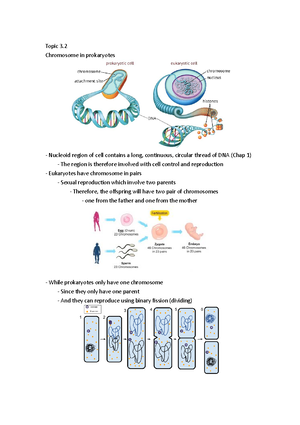 Topic 3 - Topic 3. Biotechnology Techniques and profiling Gel ...