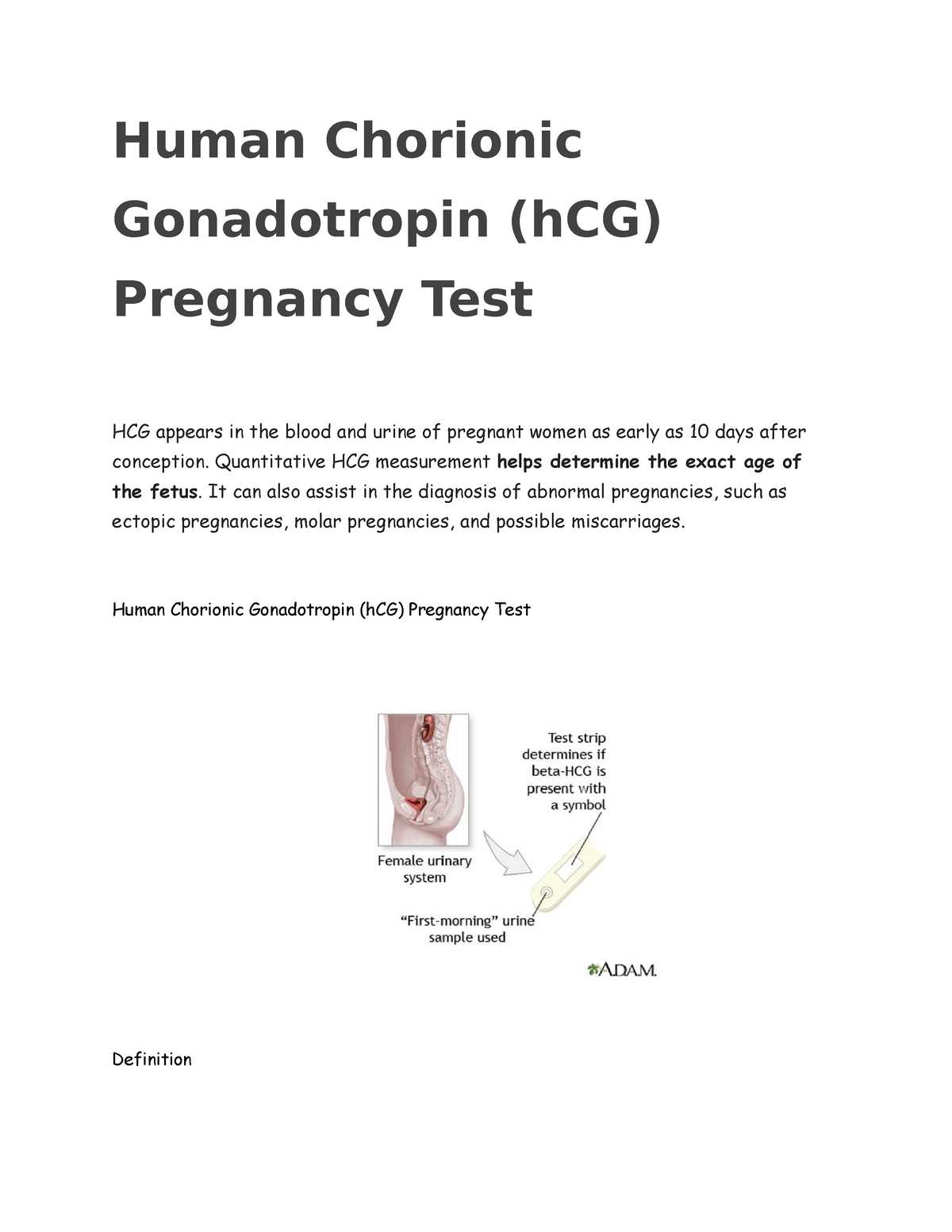 Human Chorionic Gonadotropin - Human Chorionic Gonadotropin (hCG ...