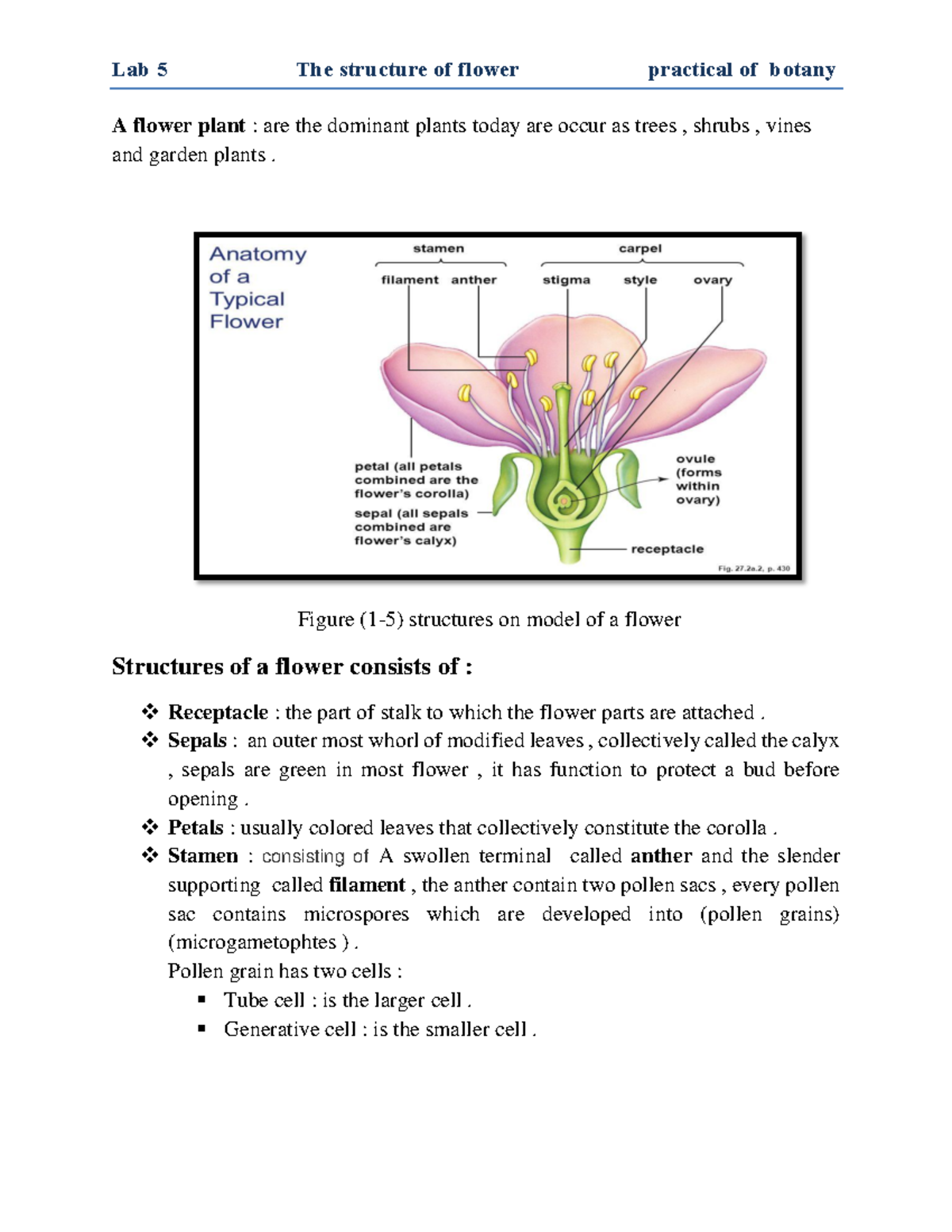 Flower - Lab 5 The structure of flower practical of botany A flower ...