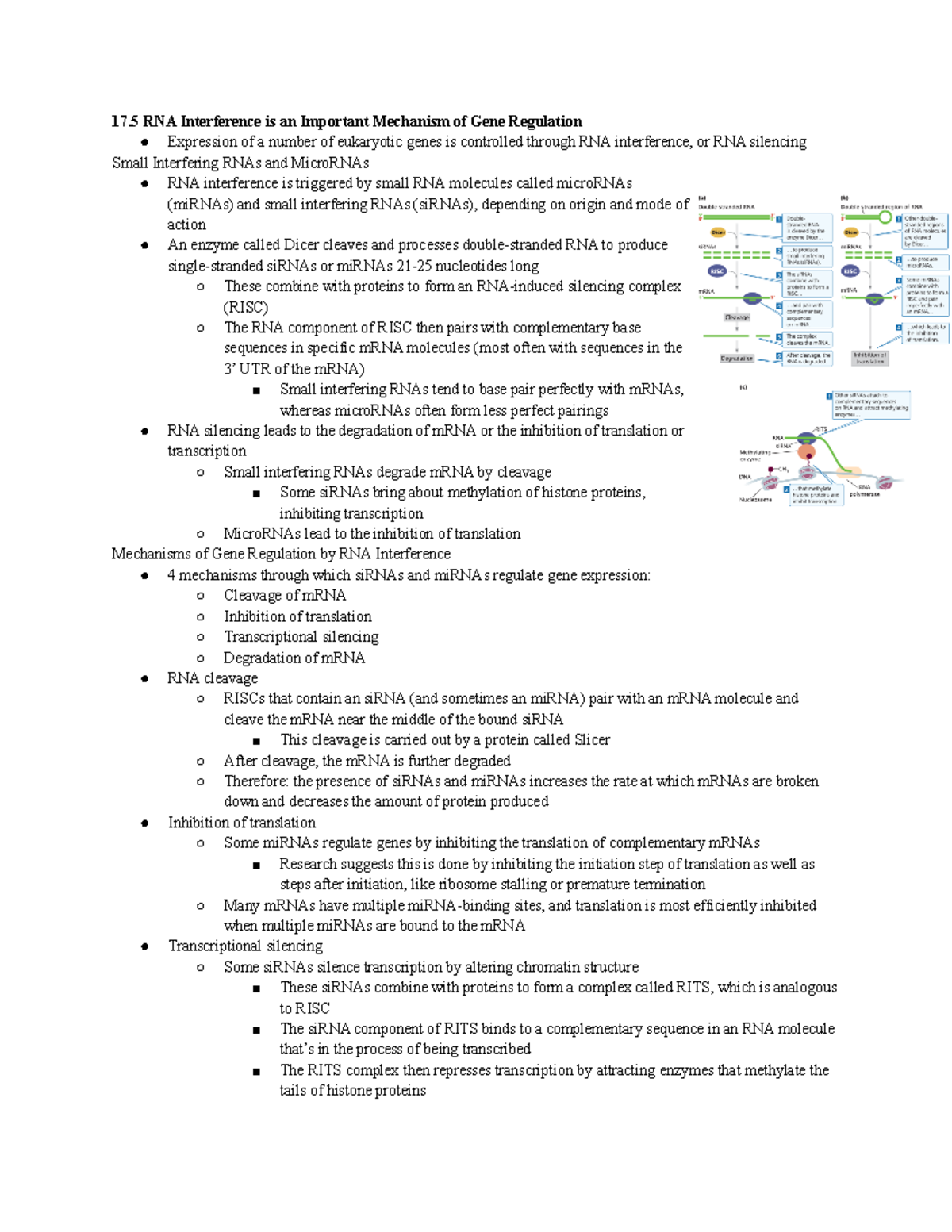 BIO 142 Week 13 Readings - 17 RNA Interference is an Important ...