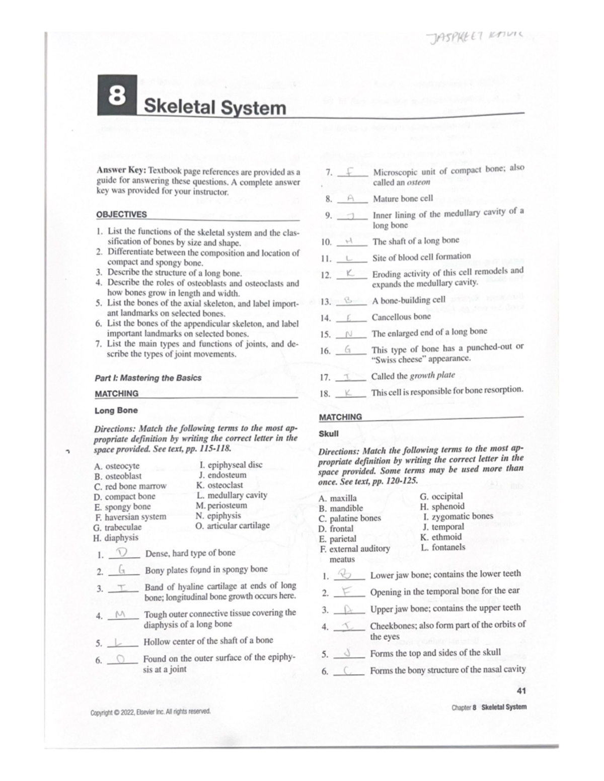 A&P Ch8Study Guide - 101 - Studocu