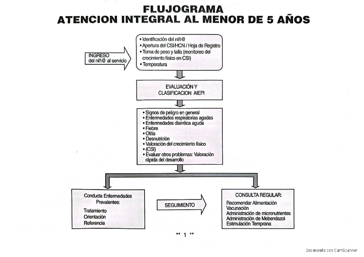 Aiepi Resumen) 1 - FLUJOGRAMA ATENCION INTEGRAL AL MENOR DE 5 AÑOS ...