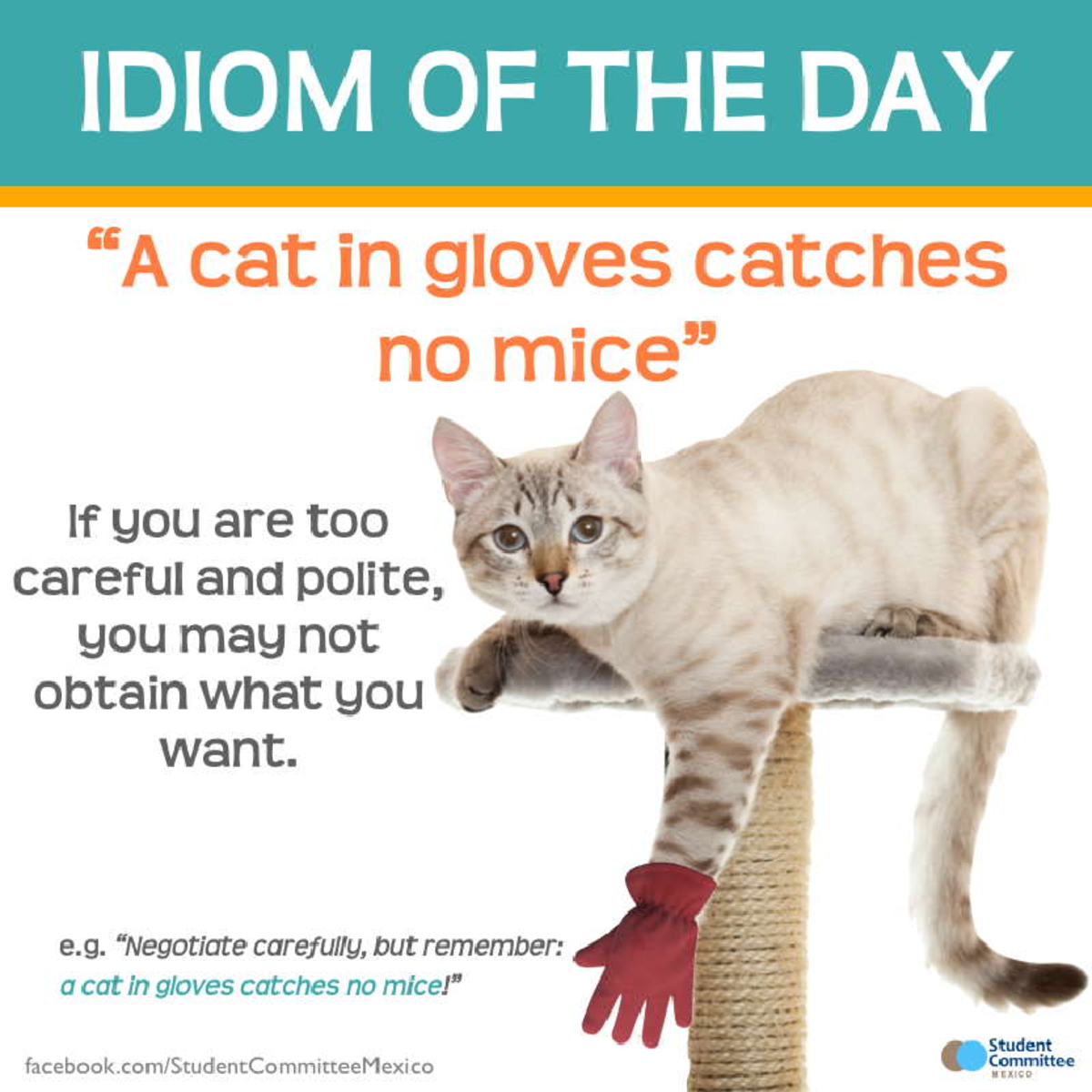 Idioms 02 Jjjjjjjjjjjjjj "A cat in gloves catches