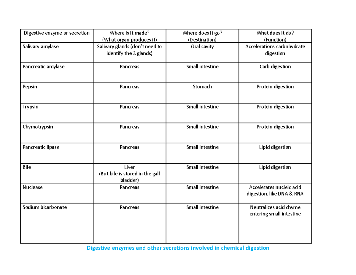 7 Digestive Enzyme Table F21 Digestive Enzyme Or Secretion Where Is 