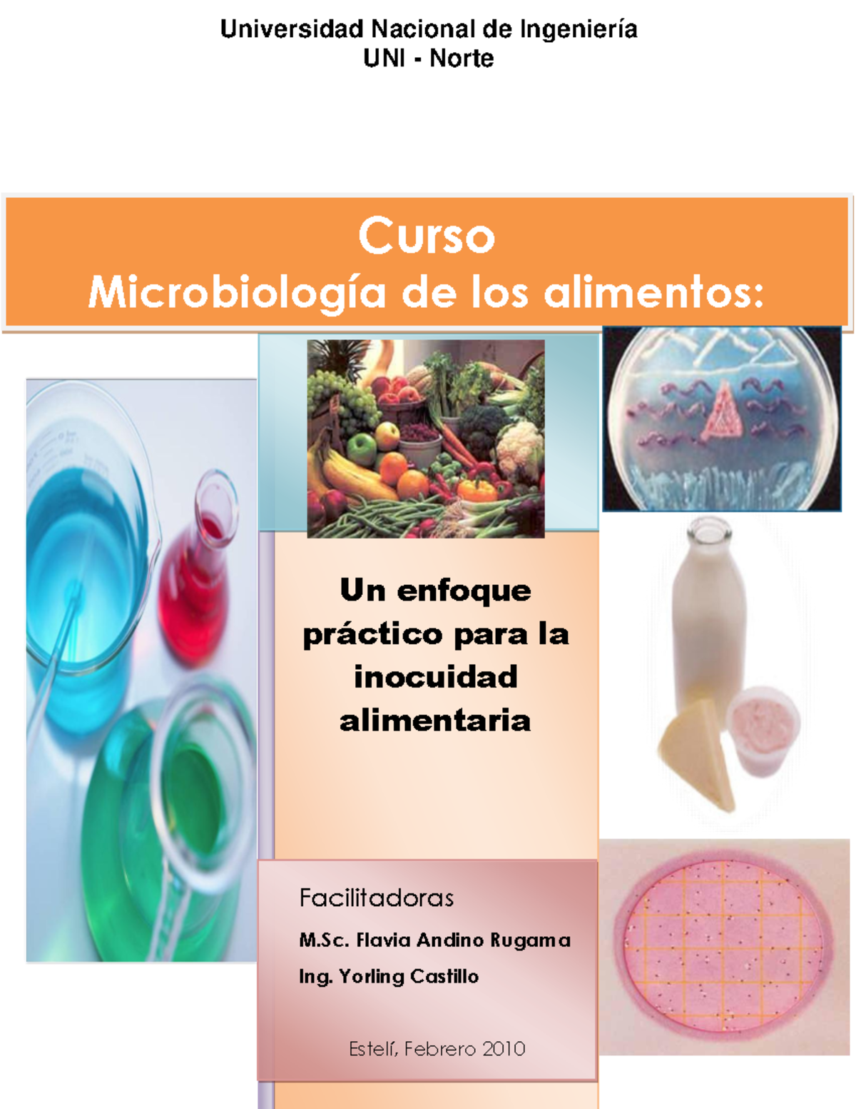 Microbiologia de los Alimentos - Facilitadoras M. Flavia Andino Rugama ...