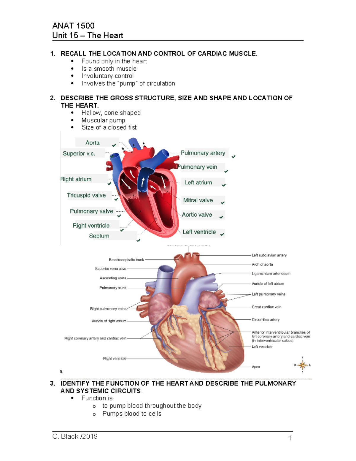 The Heart Course Notes - Unit 15 – The Heart 1. RECALL THE LOCATION AND ...