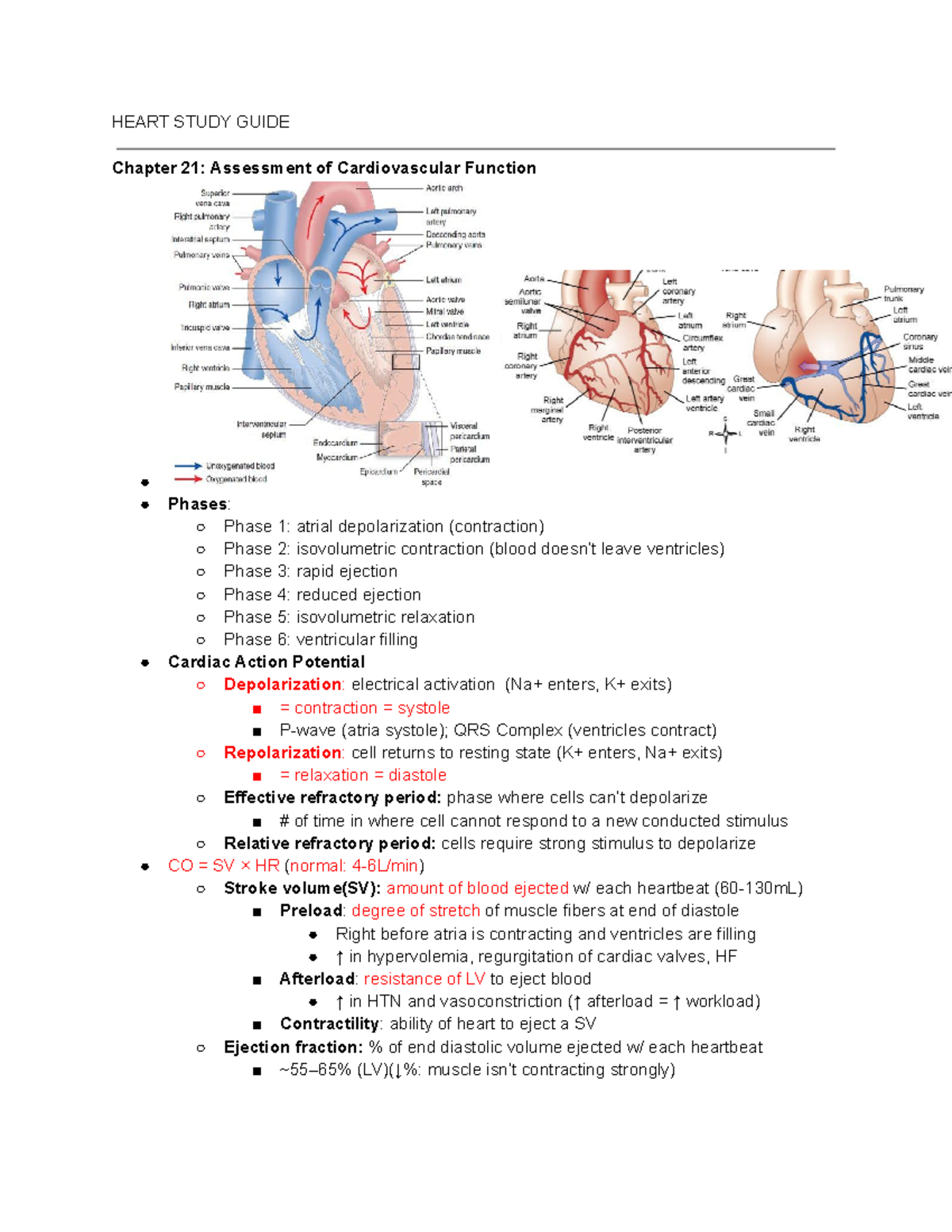 Cardiac Exam Study Guide - NURS 332 - BSU - Studocu