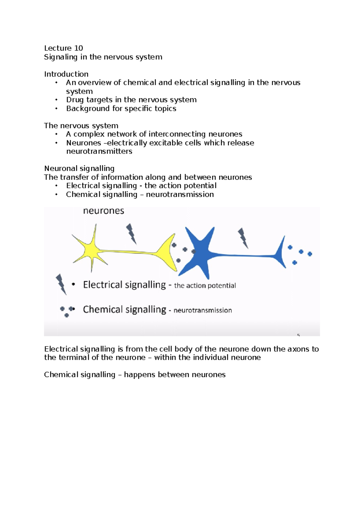 Lecture 10 - Signaling in the nervous system - Lecture 10 Signaling in ...