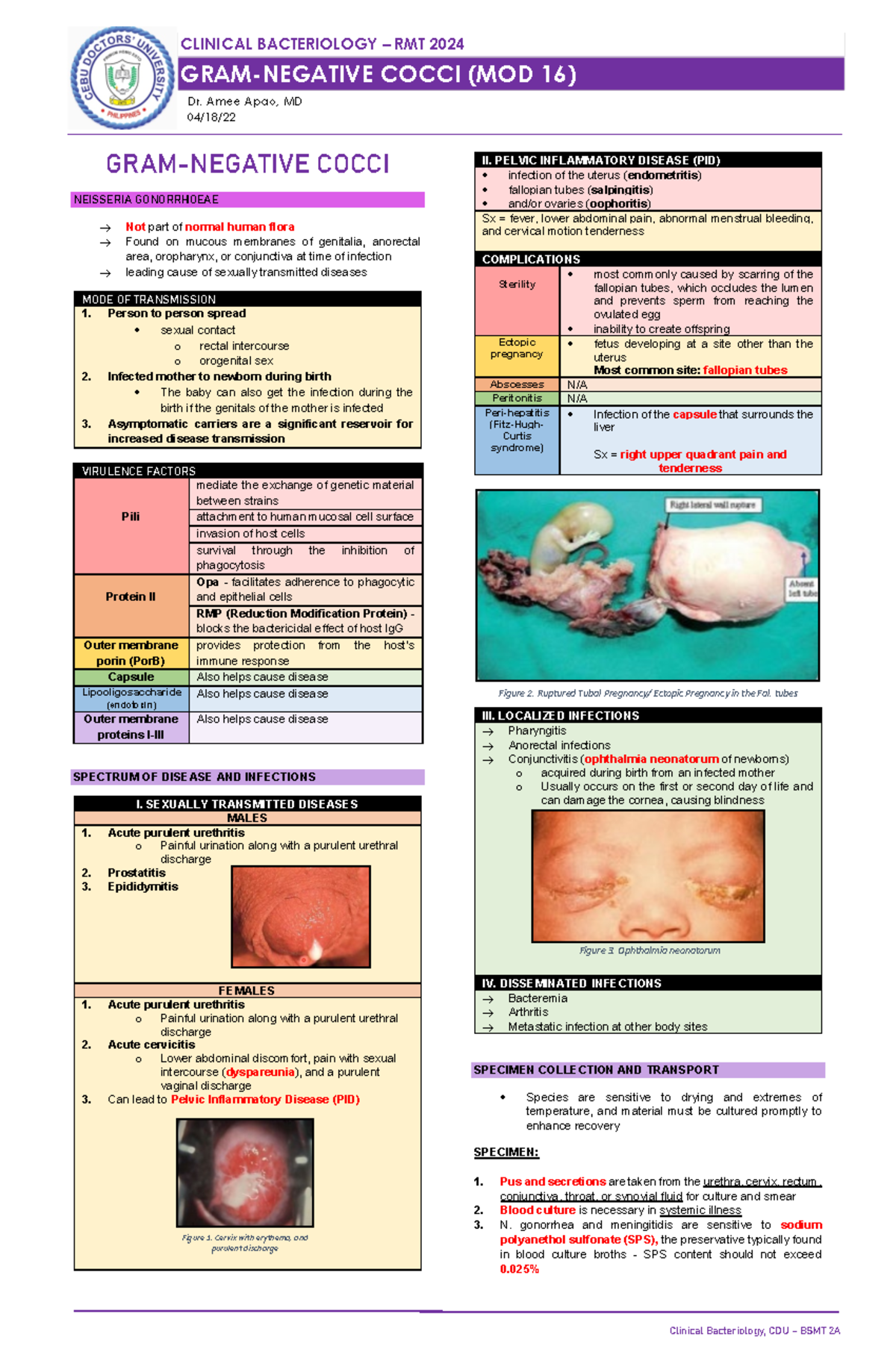 Mod 16 - Gram-negative Cocci - Page 1 Gram-negative Cocci Neisseria 