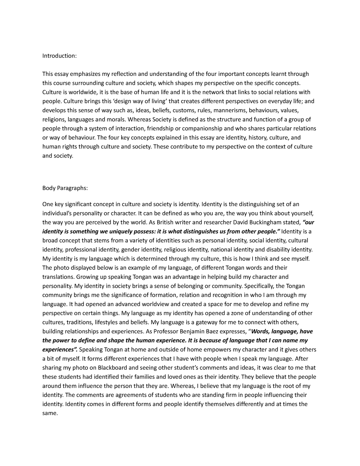 Culture & Society - Assessment - Introduction: This essay emphasizes my ...