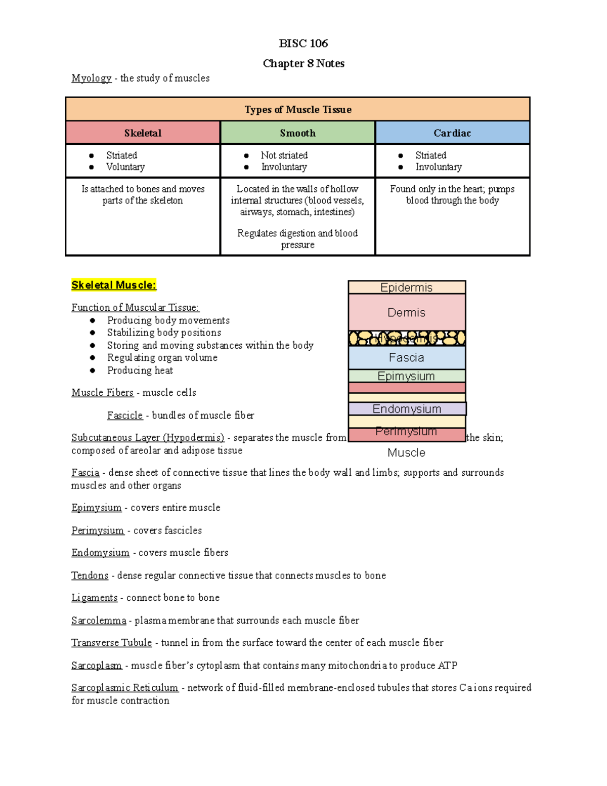 Ch 8 Notes Aldred Williams Chapter 8 Notes Myology the study of muscles Types of Muscle