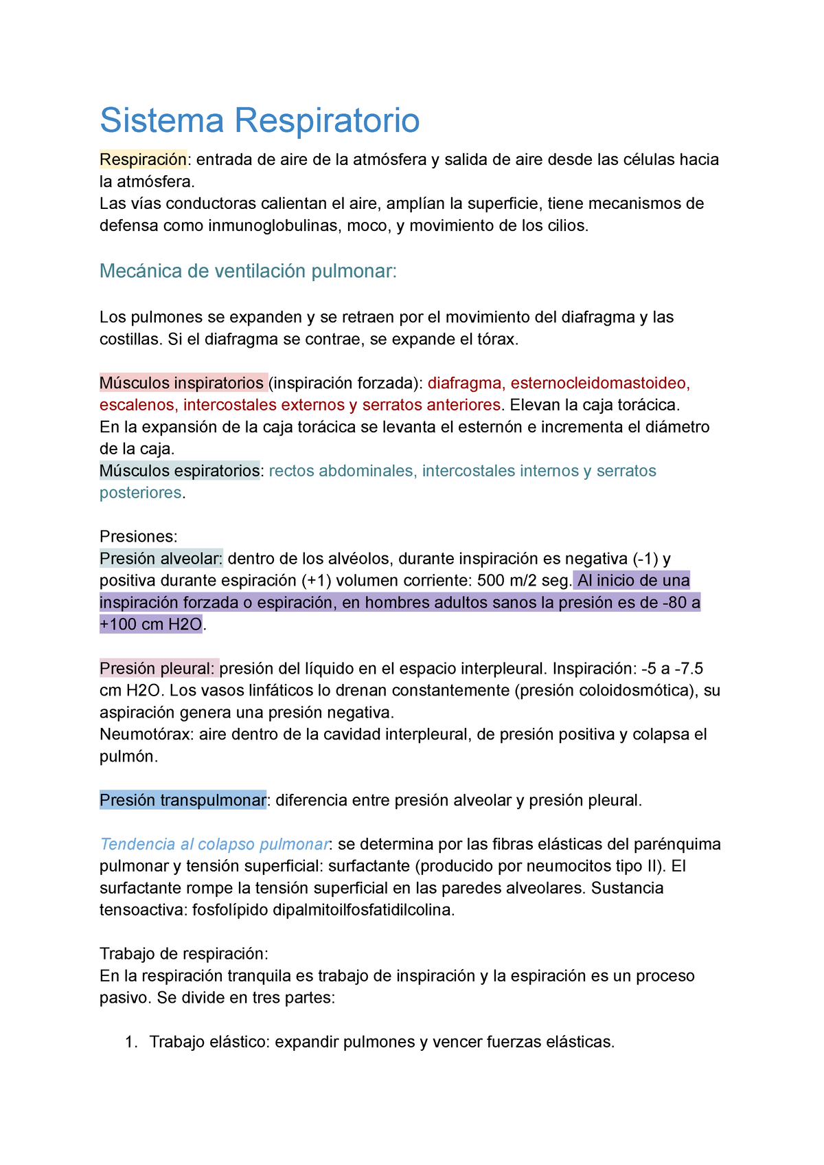 Fisiología Sistema Respiratorio - Fisiología Y Fundamentos De Las ...