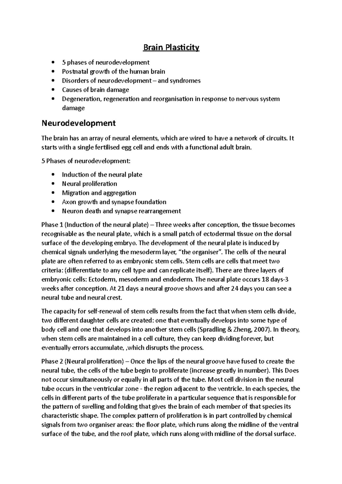 Brain Plasticity - Brain Plasticity 5 phases of neurodevelopment ...