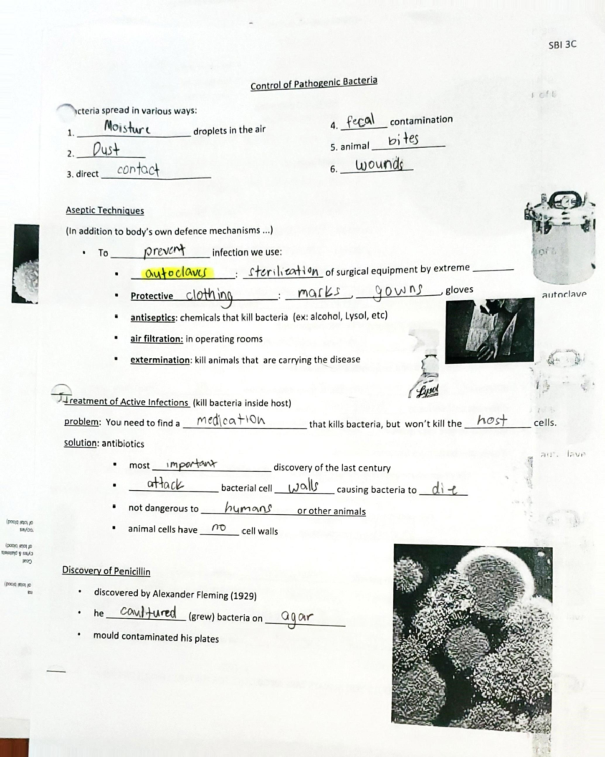 Control Pathogenic Bacteria - Control of Pathogenic Bacteria cteria ...