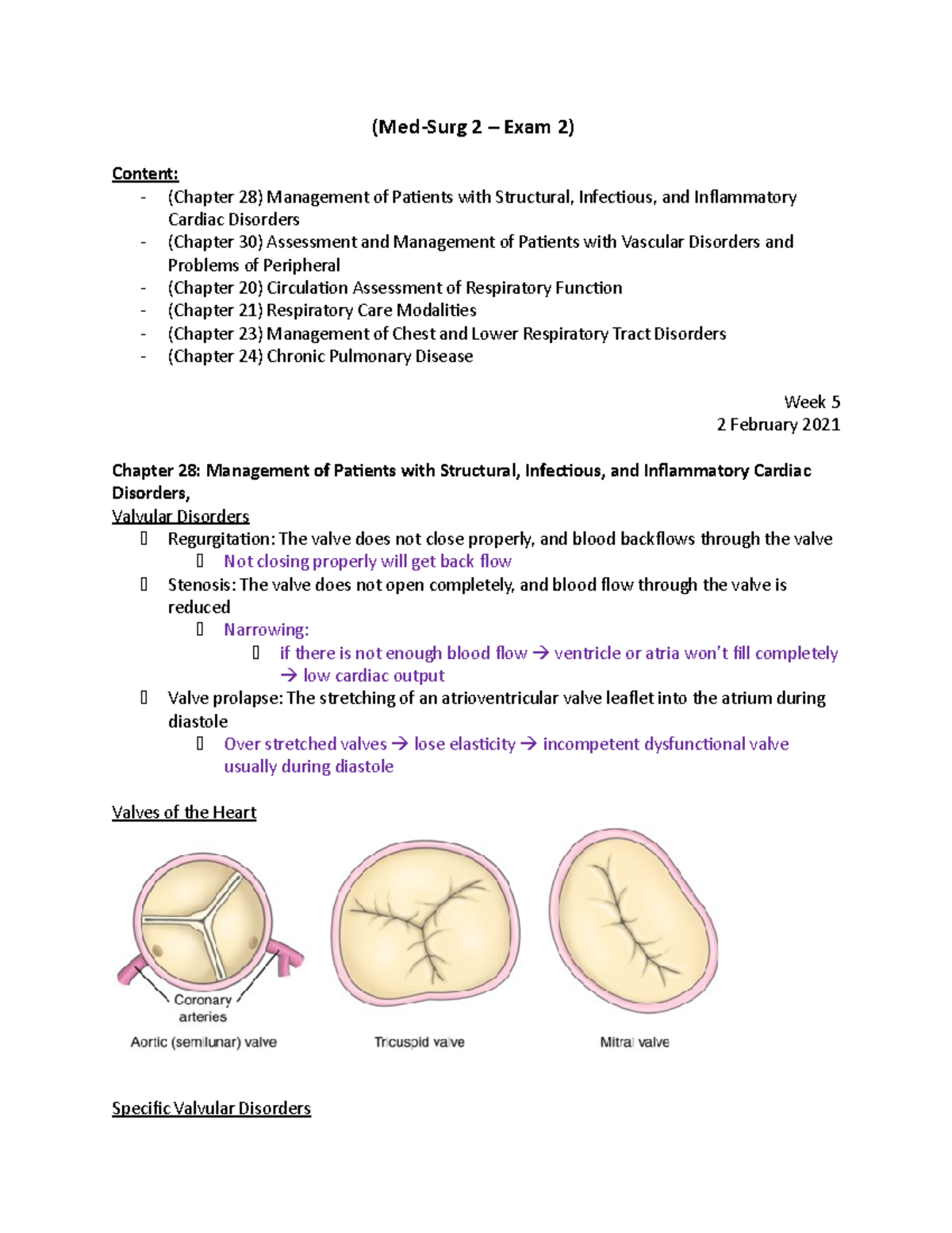 Exam 2 Med Surg EXAM 2 (wk 5-8) - (Med-Surg 2 – Exam 2) Content ...