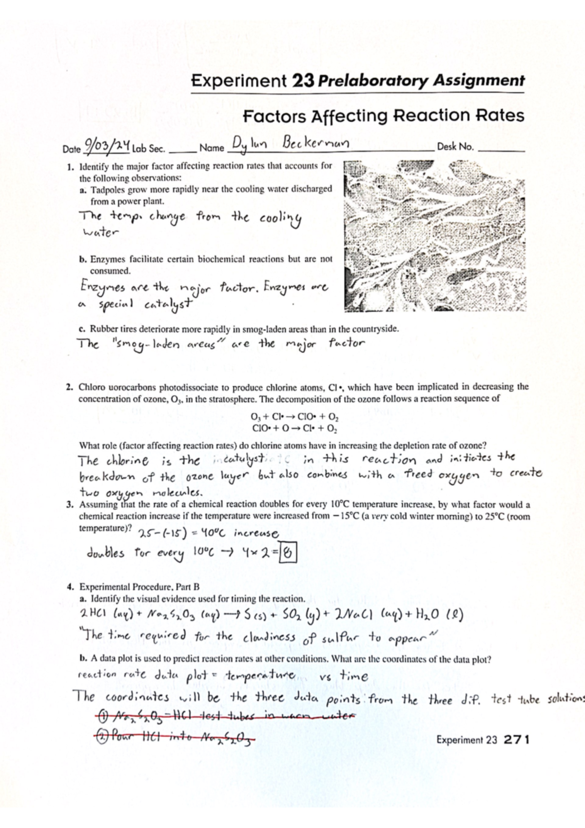 Experiment 23 - Experiment 23 Prelaboratory Assignment Factors ...
