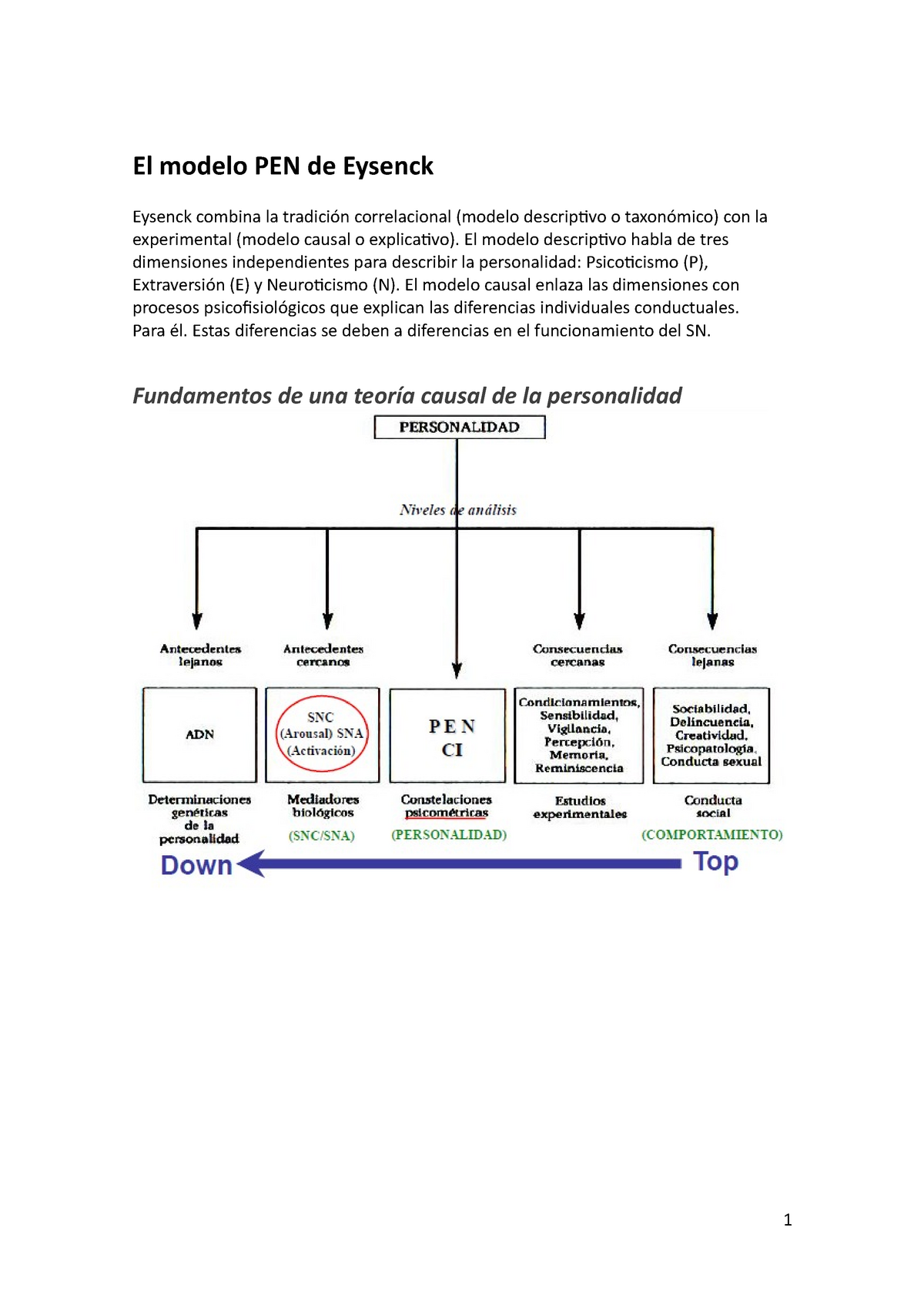 El modelo PEN de Eysenck - El modelo PEN de Eysenck Eysenck combina la  tradición correlacional - Studocu
