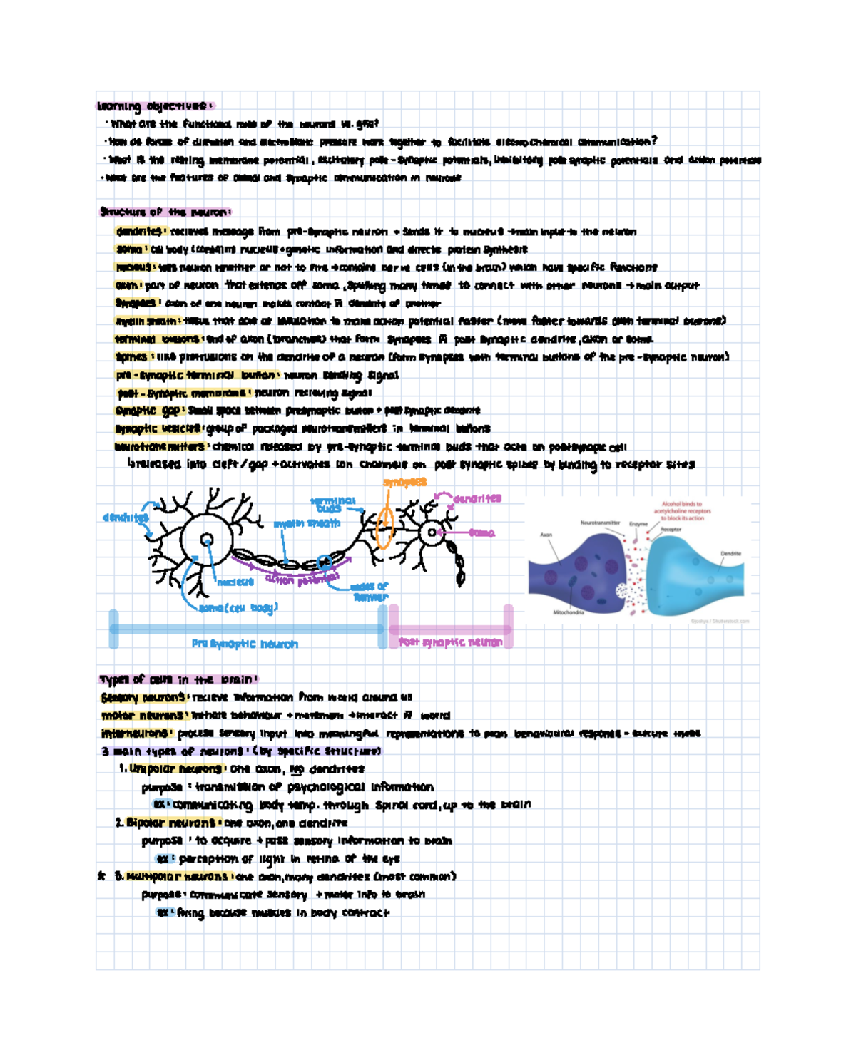 Class notes PSYC 100 Principles of Psychology BL FW24 25 20241001 ...
