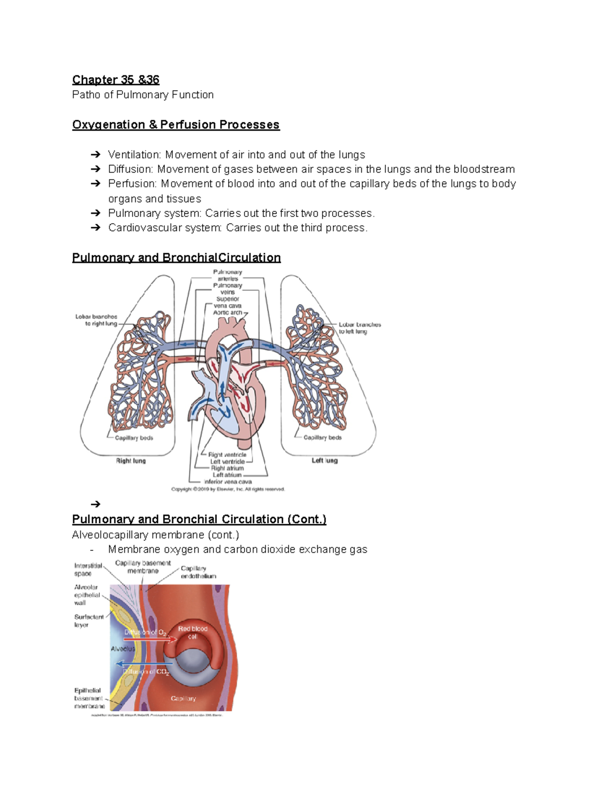 Chapter 35 &36 - Alteration of Pulmonary Function - Chapter 35 & Patho ...