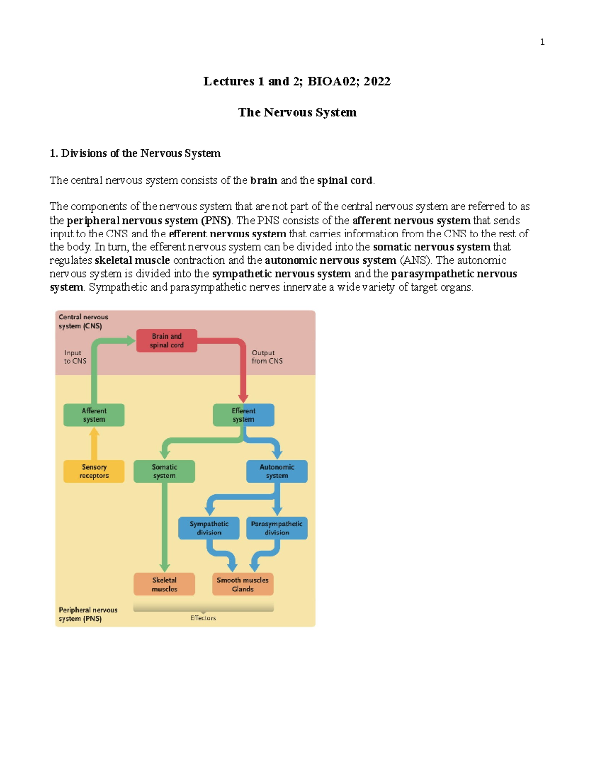 Lecture 1 and 2 Notes 2022 Intro & Nervous System - Lectures 1 and 2 ...