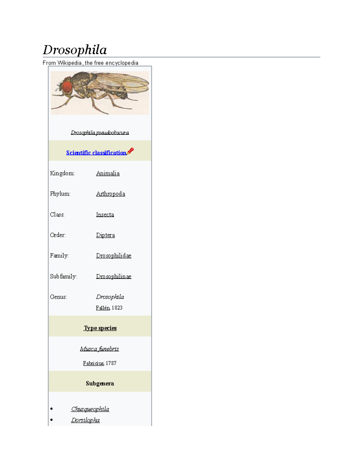 Drosophilaaa jsbjs Drosophila From Wikipedia, the free encyclopedia