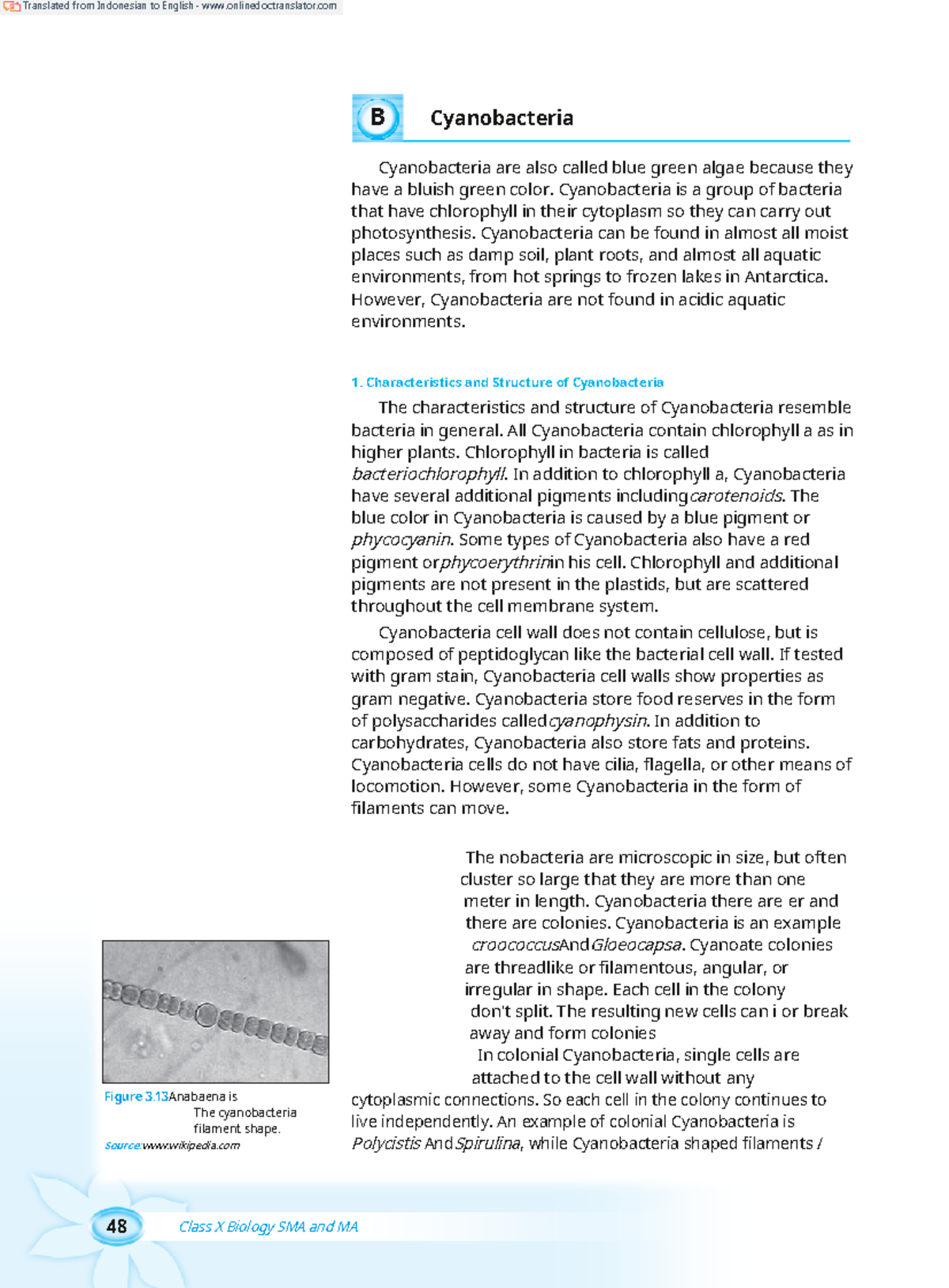 Cyanobacteria - B Cyanobacteria Cyanobacteria Are Also Called Blue ...