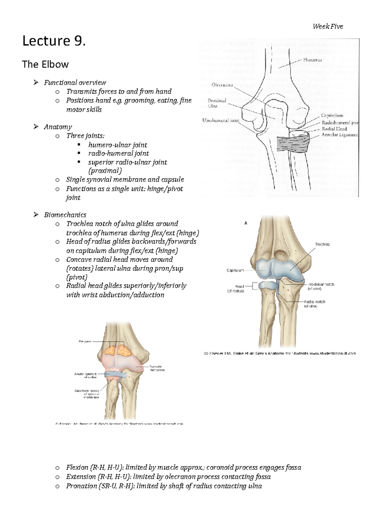 PHTY2020 Lecture 9 - Summary Notes - Lecture 9. The Elbow Functional ...