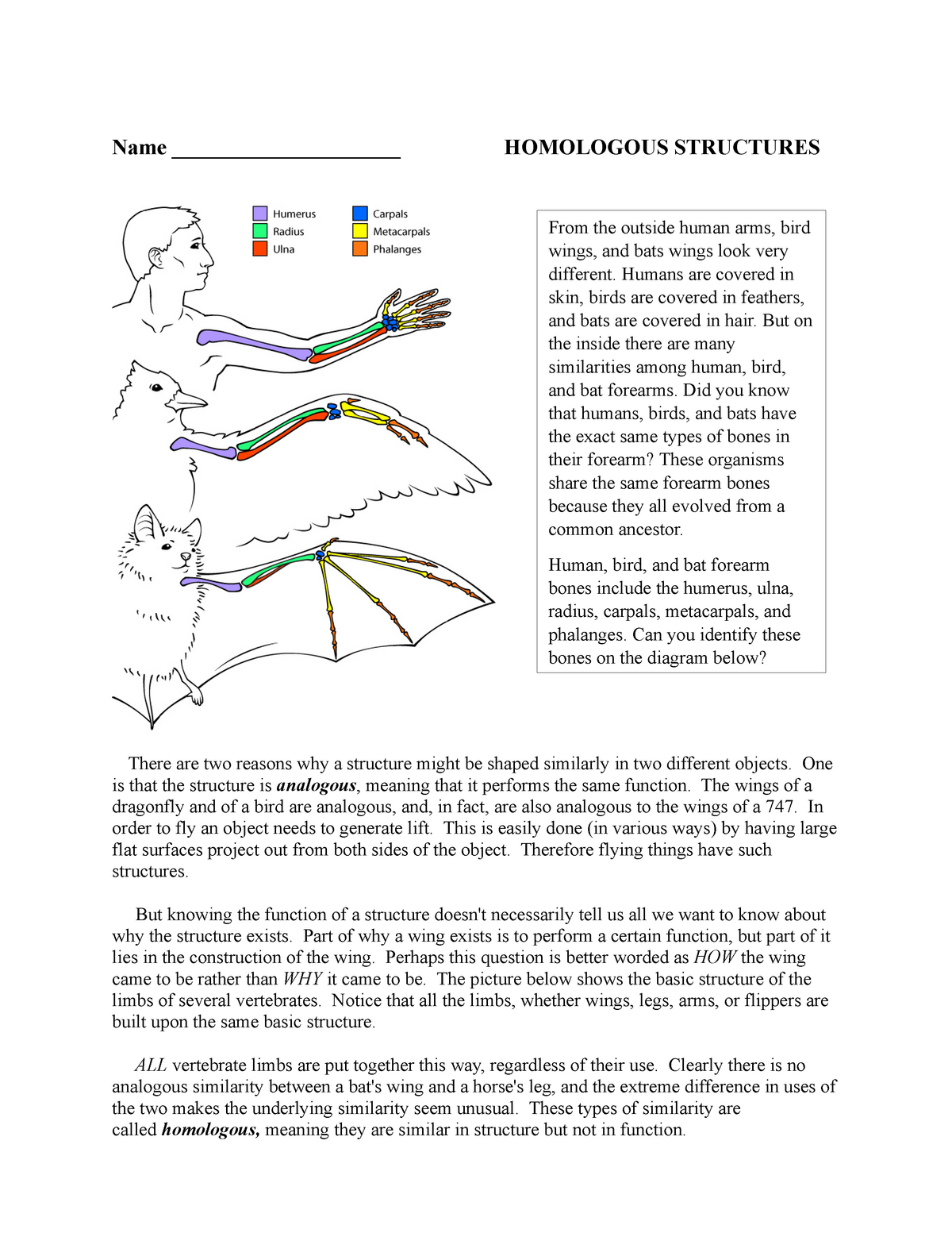 Homologous Structures Regular - Name _____________________ HOMOLOGOUS ...