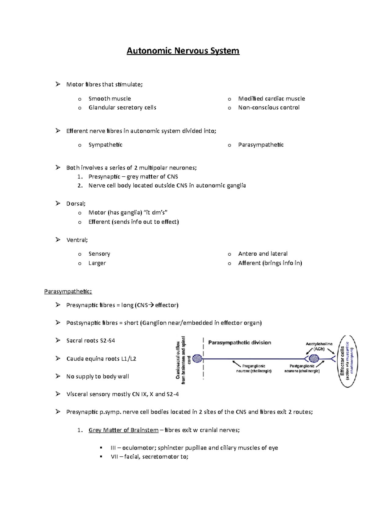 ANS - autonomic nervous system - Autonomic Nervous System Motor ibres ...