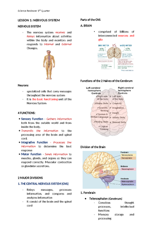 PE11-Q3-M2 - Module - Physical Education 11 Quarter 3 – Module 2 ...