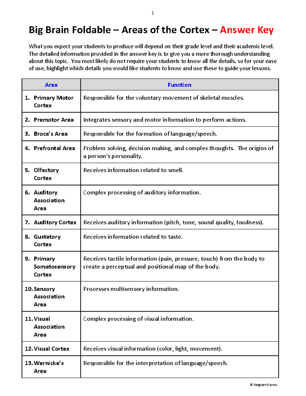 Big Brain Foldable Areas of the Cortex Answer Key 1 © Tangstar Science Big Brain Foldable
